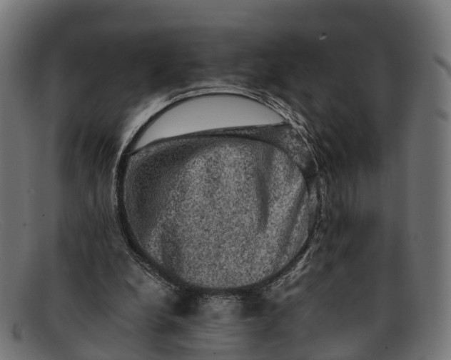 X0000091650248200709131456