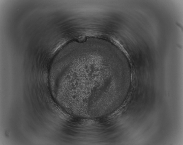 X0000091650249200709131456