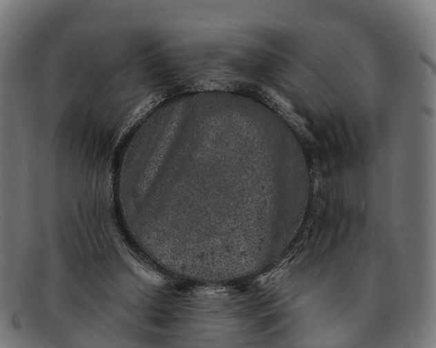 X0000091650250200709131456