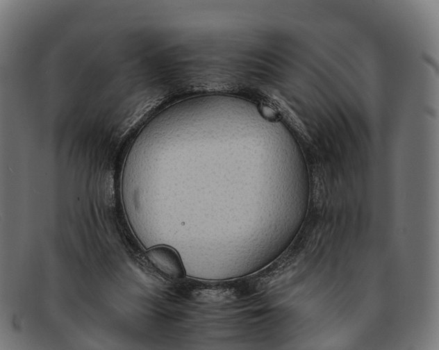 X0000091650251200709131456