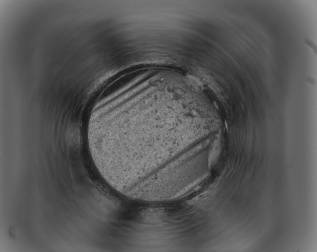 X0000091650252200709131456