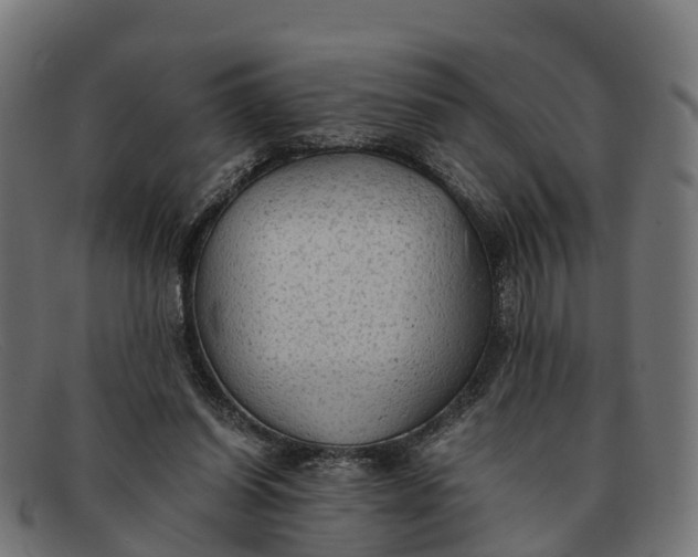 X0000091650254200709131456