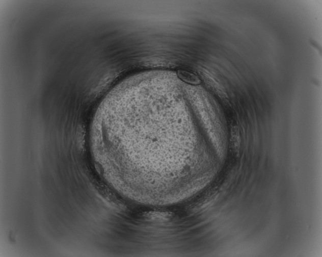 X0000091650255200709131456