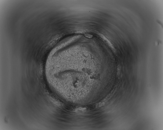 X0000091650257200709131456