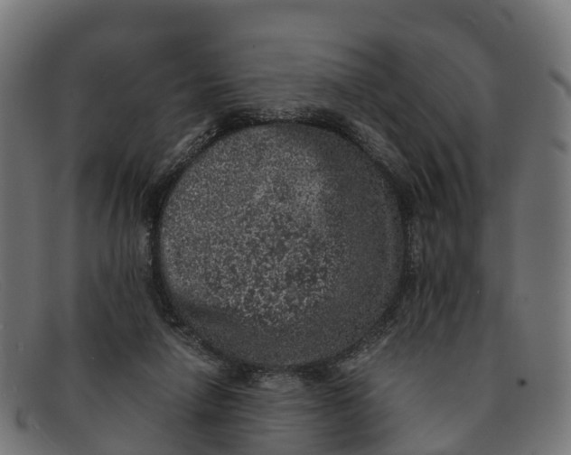 X0000091650258200709131456