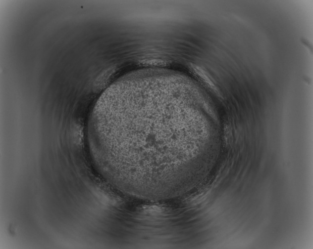 X0000091650259200709131456