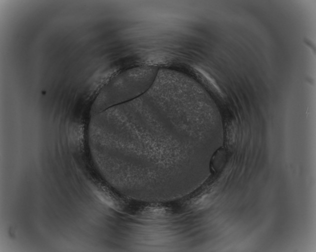 X0000091650260200709131456