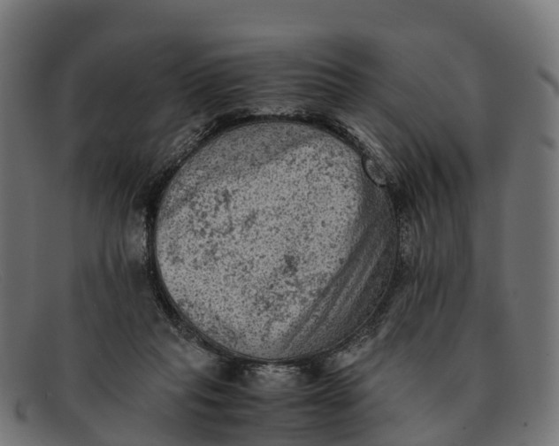 X0000091650261200709131456