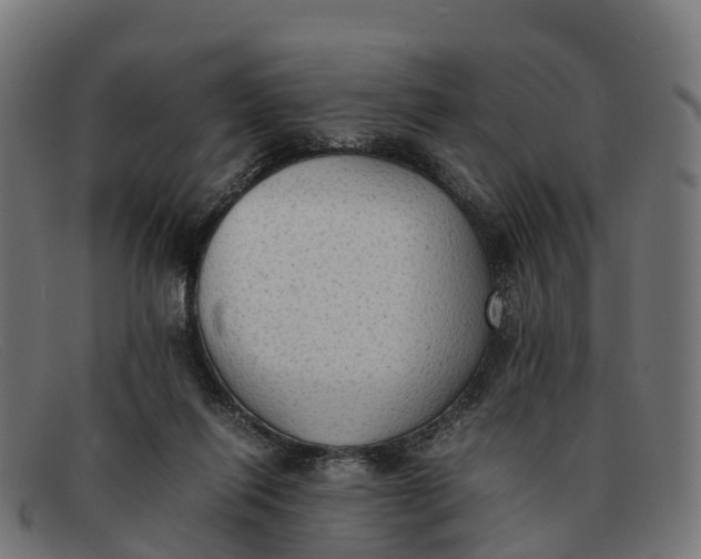 X0000091650262200709131456