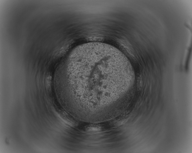 X0000091650263200709131456