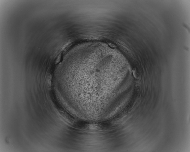 X0000091650264200709131456