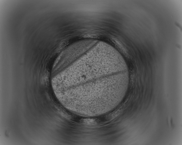 X0000091650265200709131456