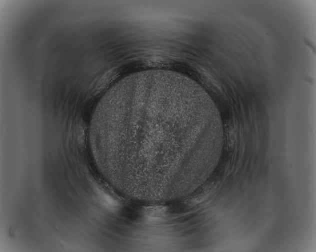 X0000091650266200709131456