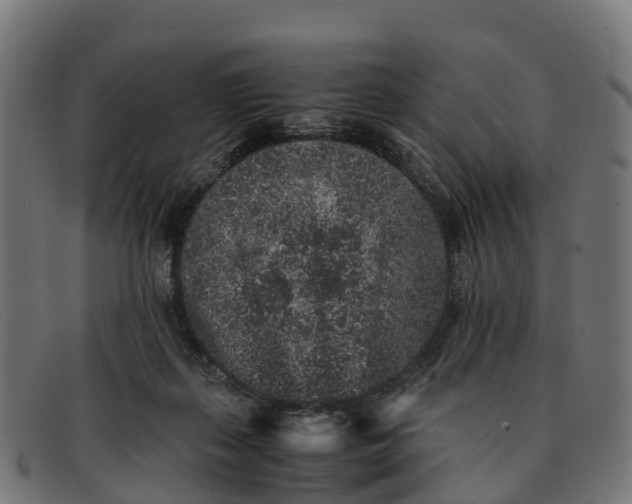 X0000091650267200709131456