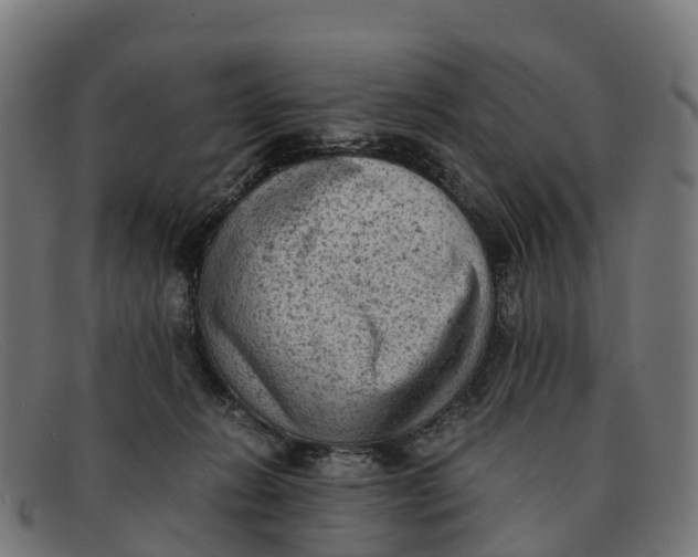 X0000091650270200709131456