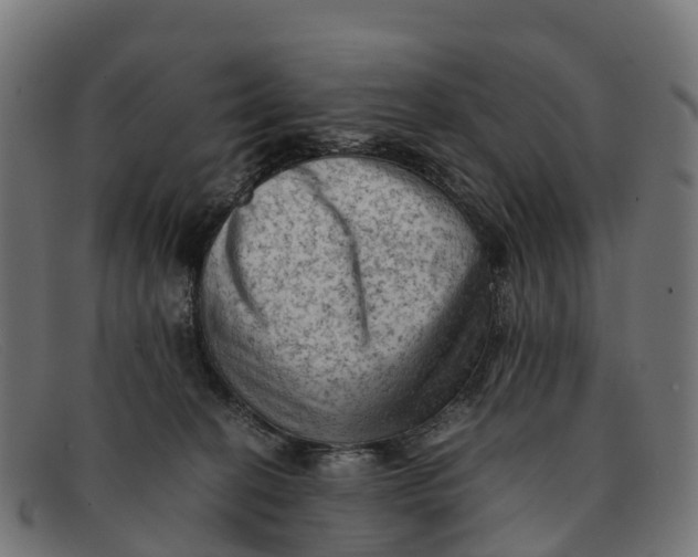 X0000091650274200709131456