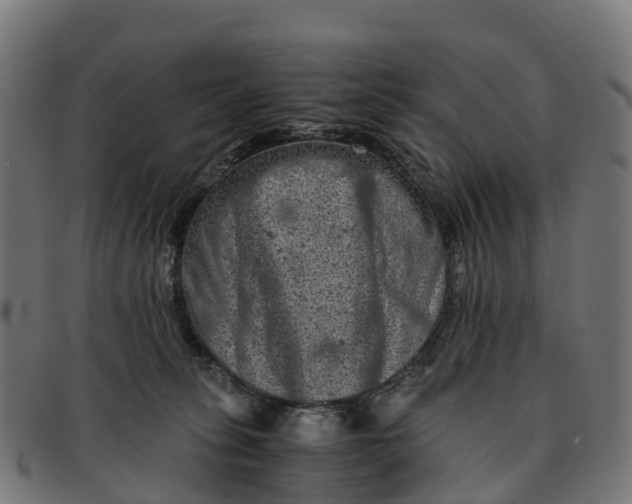 X0000091650275200709131456