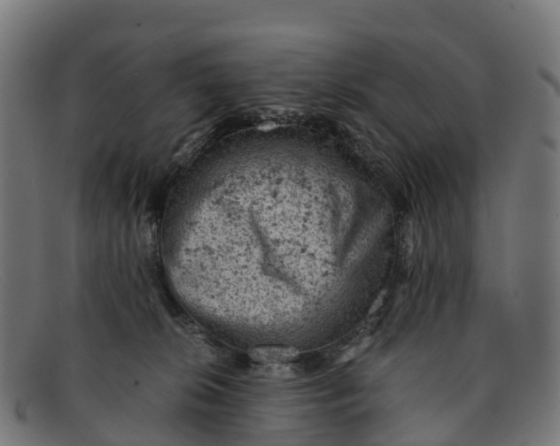 X0000091650276200709131456