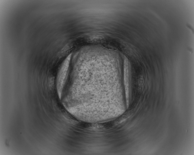 X0000091650278200709131456