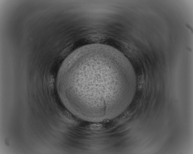 X0000091650279200709131456