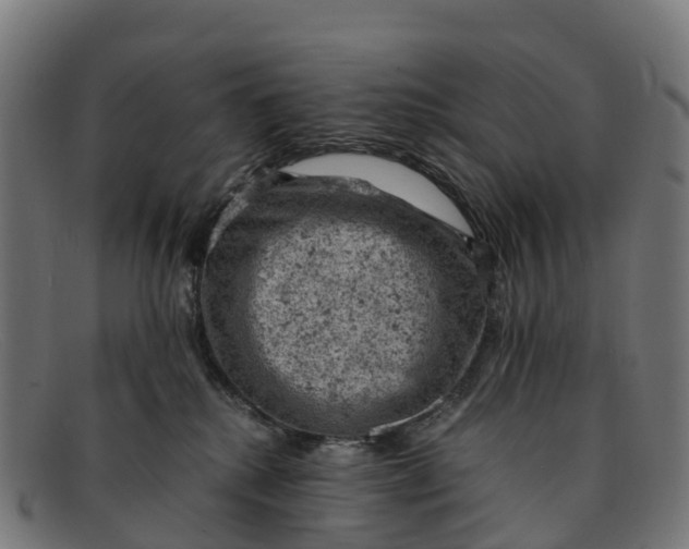 X0000091650280200709131456