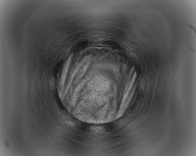 X0000091650283200709131456