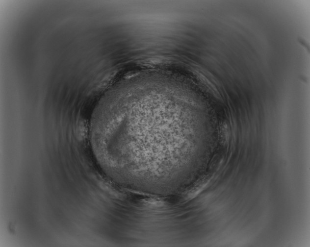 X0000091650284200709131456