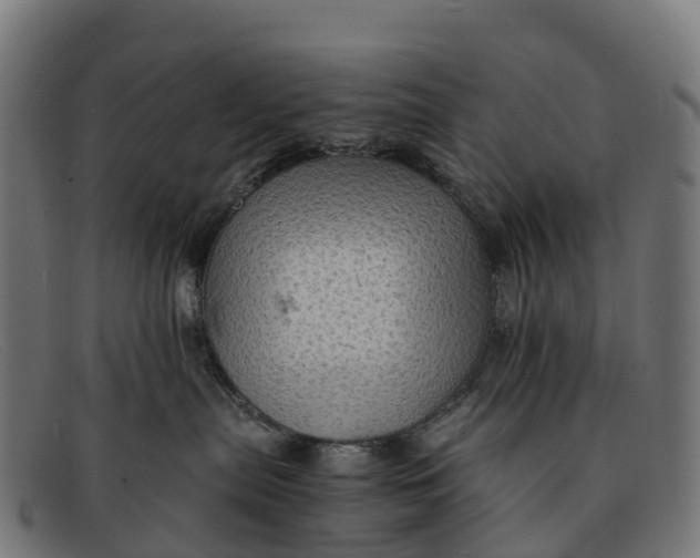 X0000091650287200709131456