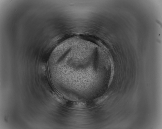 X0000091650288200709131456