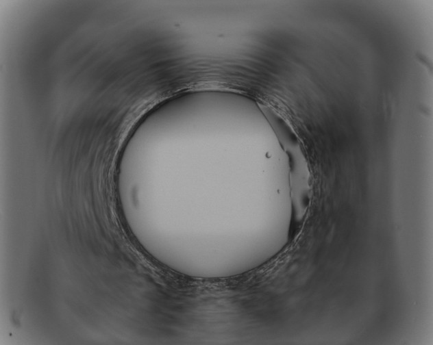 X0000091650289200709131456