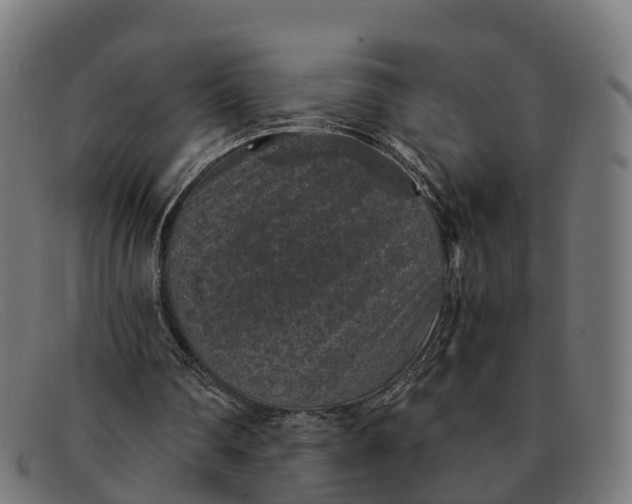 X0000091650290200709131456