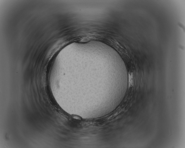 X0000091650291200709131456