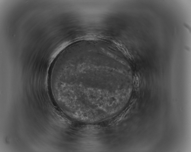 X0000091650292200709131456