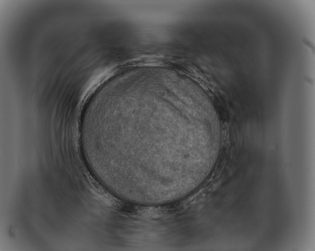 X0000091650293200709131456