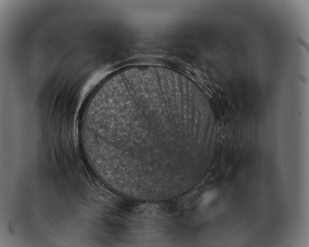 X0000091650294200709131456