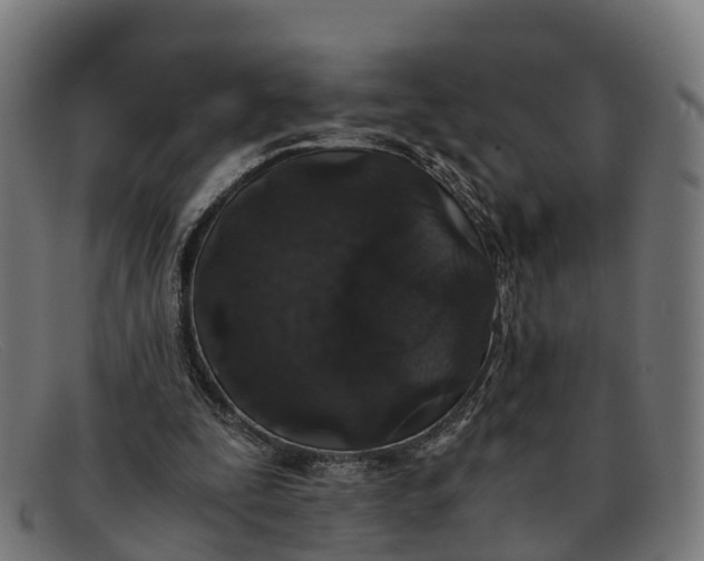 X0000091650295200709131456