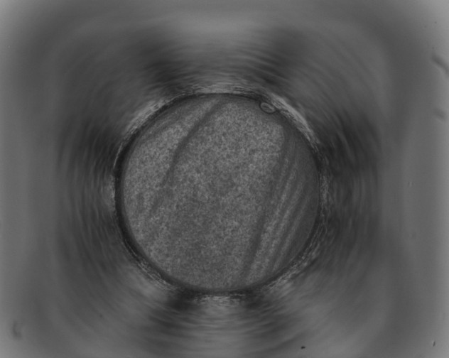 X0000091650298200709131456