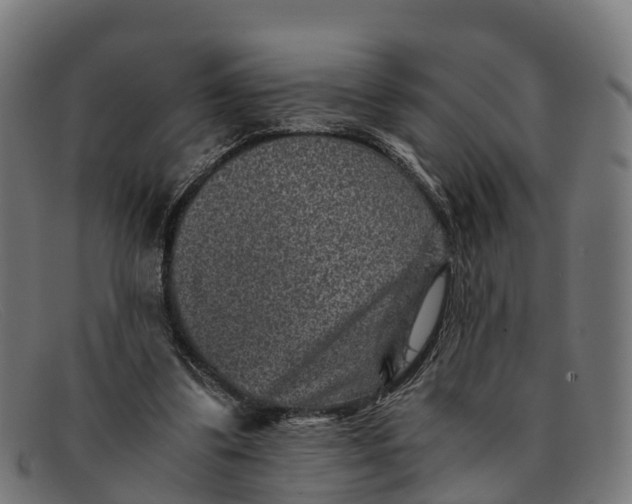 X0000091650299200709131456