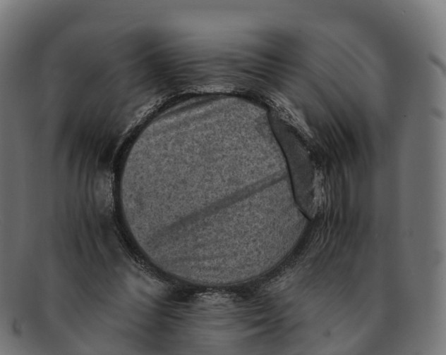 X0000091650300200709131456