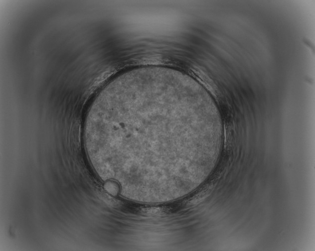 X0000091650301200709131456