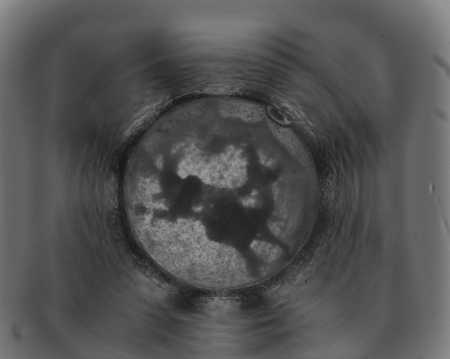 X0000091650303200709131456