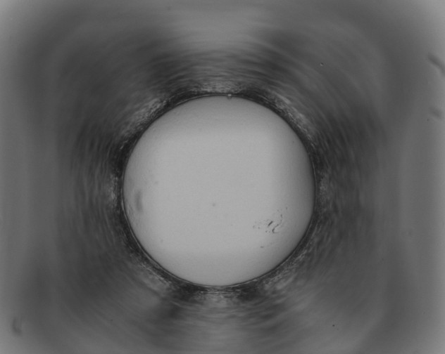 X0000091650305200709131456