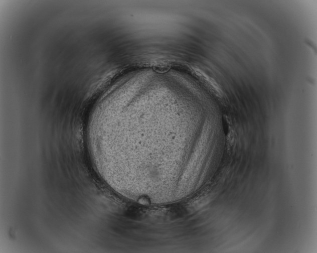 X0000091650306200709131456