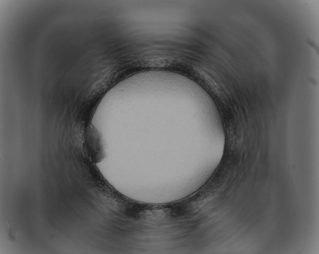 X0000091650307200709131456