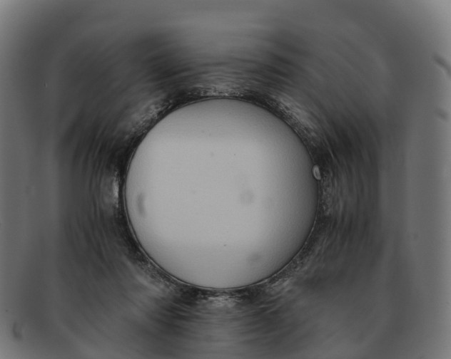 X0000091650310200709131456