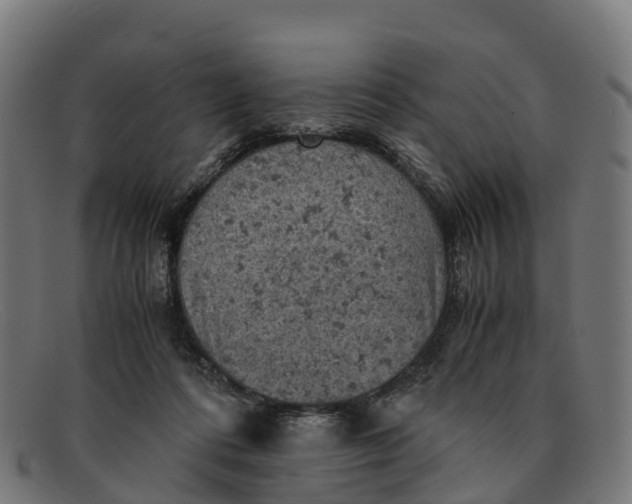 X0000091650312200709131455