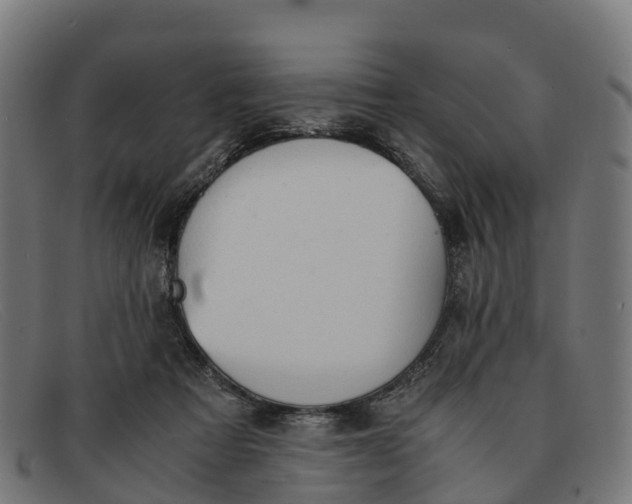 X0000091650313200709131455