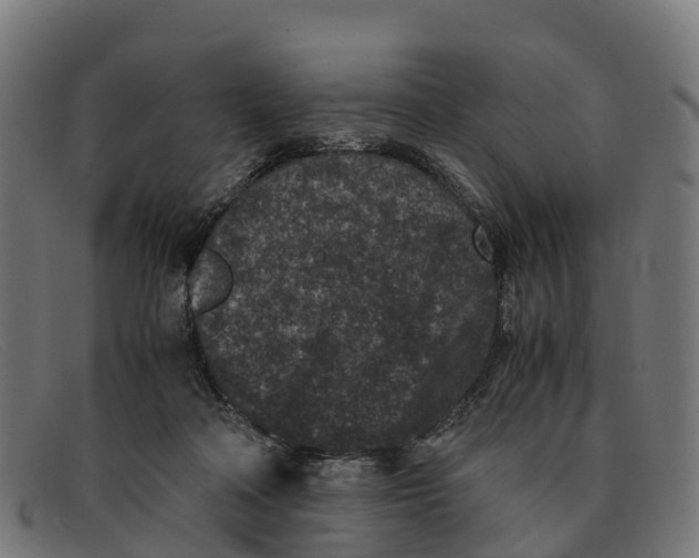 X0000091650314200709131455