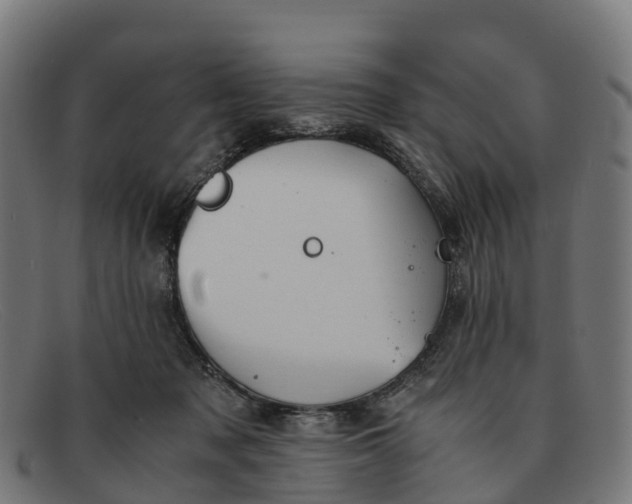 X0000091650317200709131455