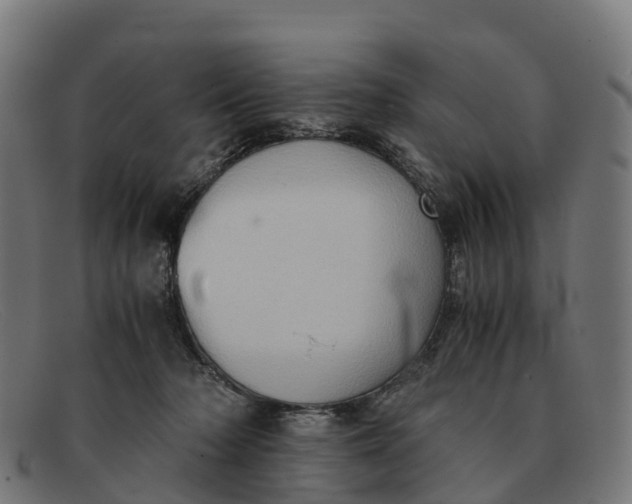 X0000091650318200709131455